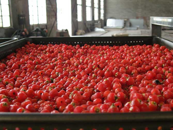 DWϵ�д�ʽ�����